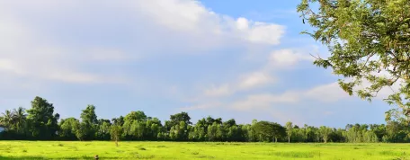 Viabilisation d’un terrain : étapes et coûts